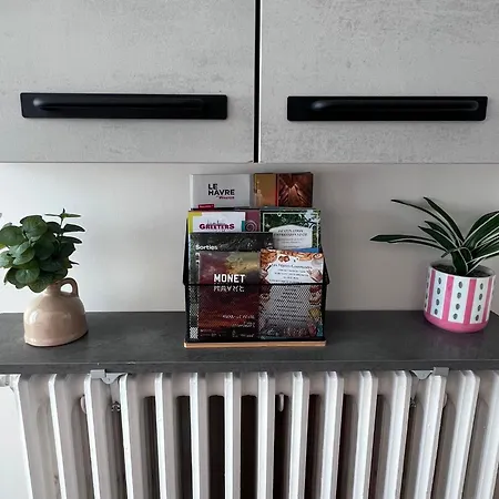 Le Petit Jacques Vue, Luminosite, Confort, Centre Unesco Apartment *